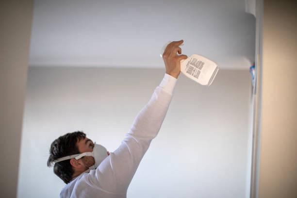 Best Mold Remediation for Specific Building Types in Windsor, VA